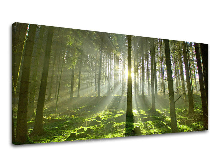 Wall painting PANORAMA TREES Discount 60% 50X100 cm