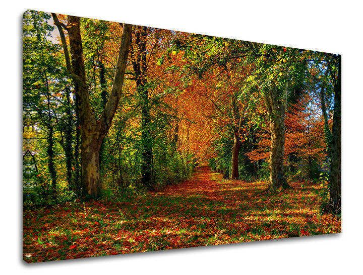Wall painting TREES Discount 60 % 60X90 cm