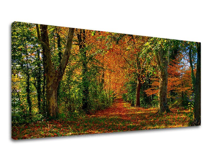 toixografia-panorama-trees-30x60-cm-GR-XOBST033E13-30x60-24h-0.jpg