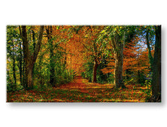 toixografia-panorama-trees-60x120-cm-GR-XOBST033E13-60x120-24h-1.jpg
