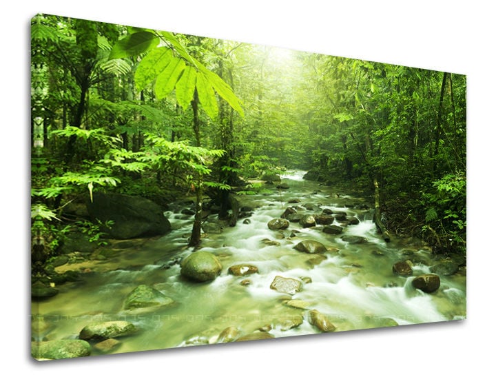 Wall painting TREES Discount 60 % 150X100 cm