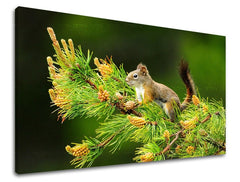 Wall painting ANIMALS Discount 60 % 20X30 cm