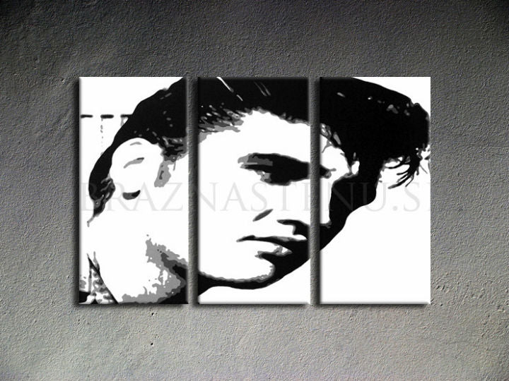 Χειροποίητος πίνακας ζωγραφικής POP ART ELVIS