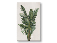 Η εικόνα στον καμβά PLANTS 007