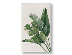 Η εικόνα στον καμβά PLANTS 008