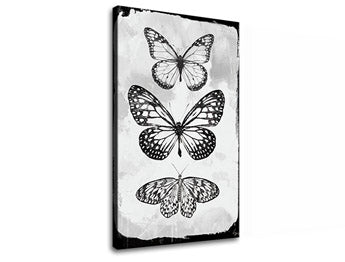 Η εικόνα σε καμβά MOTYLES 1 μέρος XOBCH20477SDE1