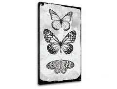 Η εικόνα σε καμβά MOTYLES 1 μέρος XOBCH20477SDE1