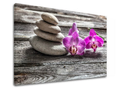 Η εικόνα στον καμβά FENG SHUI_060-11