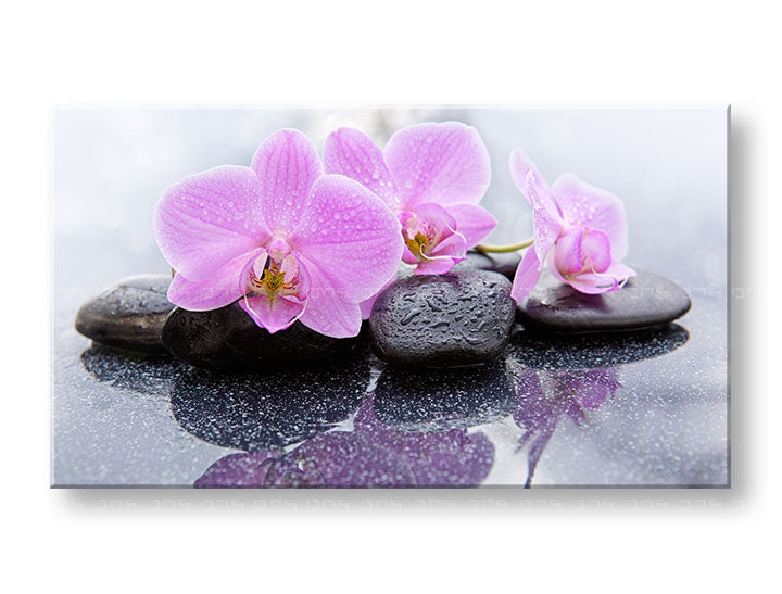 Η εικόνα στον καμβά FENG SHUI_062-11
