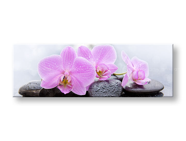 Η εικόνα στον καμβά FENG SHUI_062-13