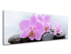 Η εικόνα στον καμβά FENG SHUI_062-13