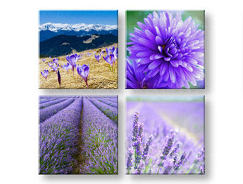 Ζωγραφική τοίχου Υπέροχη θέα 4 μέρη XOBKOL25E42