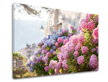 Ζωγραφική τοίχου PINK FLOWERS_157-11