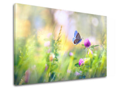 Ζωγραφική τοίχου COLORFUL FLOWERS_161-11