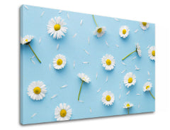 Ζωγραφική τοίχου WHITE FLOWERS_163-11