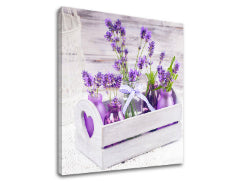 Ζωγραφική τοίχου FIAL FLOWERS_164-12