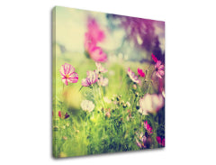 Ζωγραφική τοίχου PINK FLOWERS_165-12