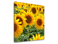 Ζωγραφική τοίχου ΚΙΤΡΙΝΑ ΛΟΥΛΟΥΔΙΑ_168-12