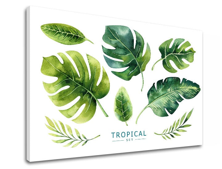 Τοιχογραφία με κείμενο Tropical set - εικόνα 2