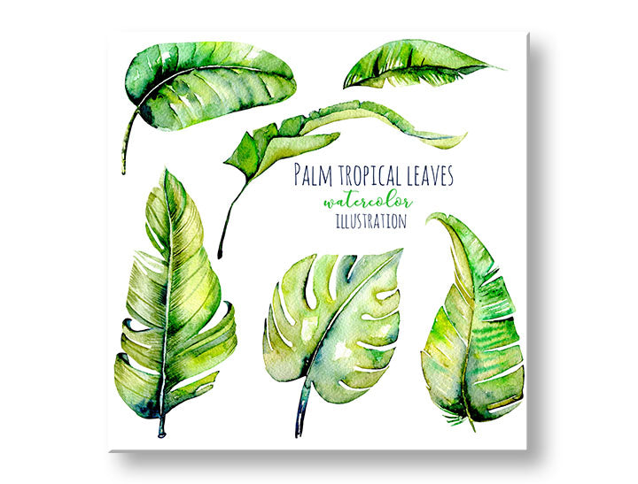 Τοιχογραφία με κείμενο Palm tropical leaves