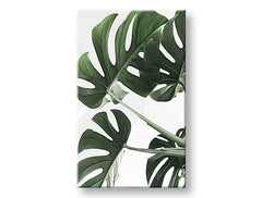 Η εικόνα στον καμβά PLANTS 009