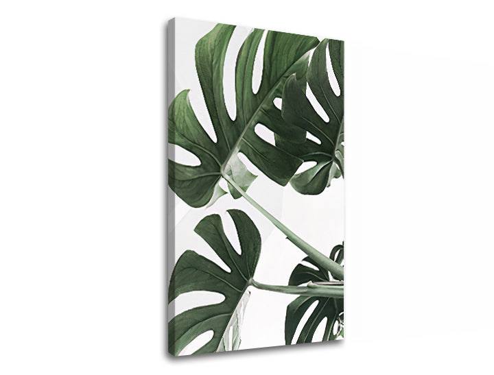 Η εικόνα στον καμβά PLANTS 009 - εικόνα 3