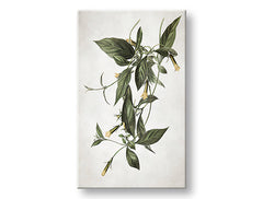 Η εικόνα στον καμβά PLANTS 012