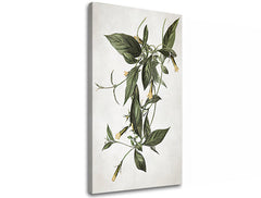 Η εικόνα στον καμβά PLANTS 012 - εικόνα 3