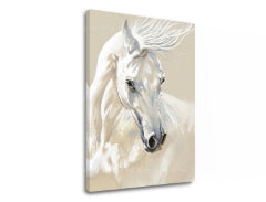 Η εικόνα στον καμβά MAJESTY WHITE Pigeon