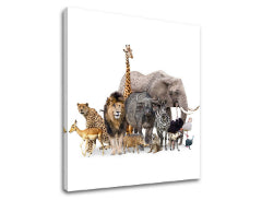 Ζωγραφική τοίχου ANIMALS_051-12