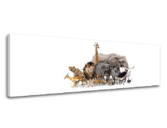 Ζωγραφική τοίχου ANIMALS_051-13
