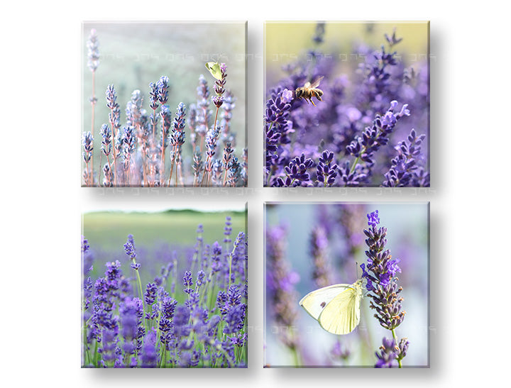 Βάψιμο τοίχου Lavender dream | διάφορα μεγέθη
