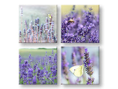 Βάψιμο τοίχου Lavender dream | διάφορα μεγέθη