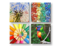 Wall art Πολύχρωμες δονήσεις 4 μέρη XOBKOL20E42