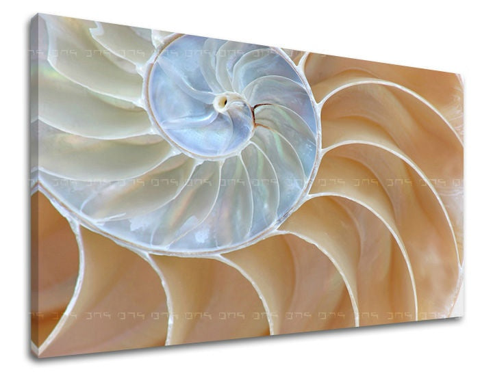 Ζωγραφική τοίχου ABSTRAKT