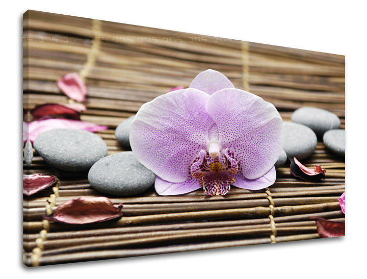 Τέχνη τοίχου FENG SHUI FS010E11