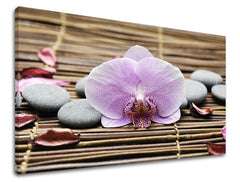 Τέχνη τοίχου FENG SHUI FS010E11