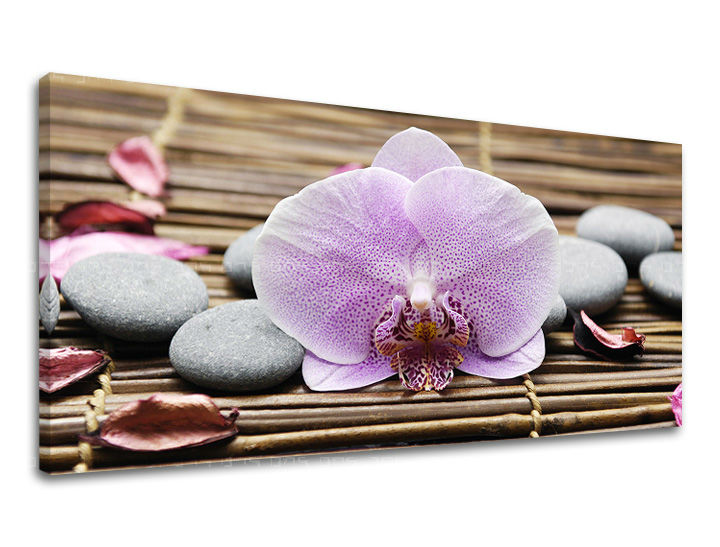 Τοιχογραφία PANORAMA FENG SHUI FS010E13