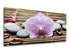 Τοιχογραφία PANORAMA FENG SHUI FS010E13