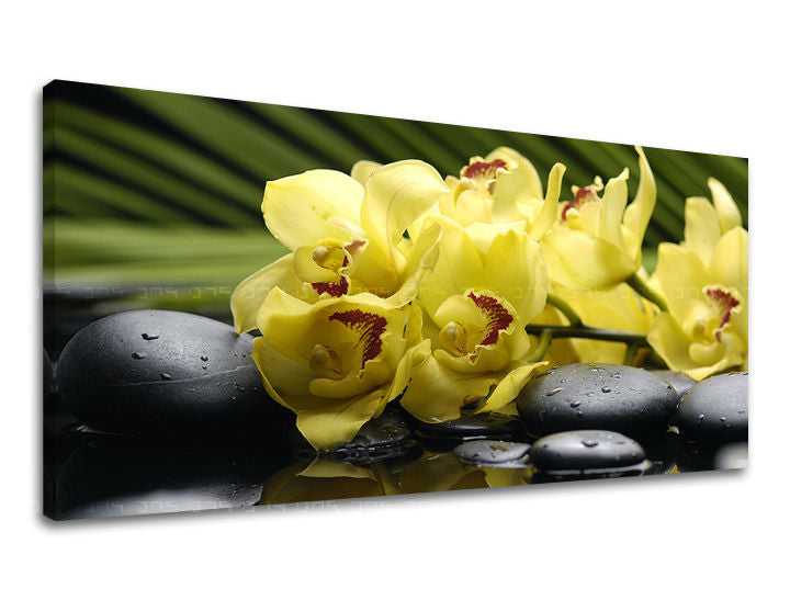 Τοιχογραφία PANORAMA FENG SHUI FS012E13