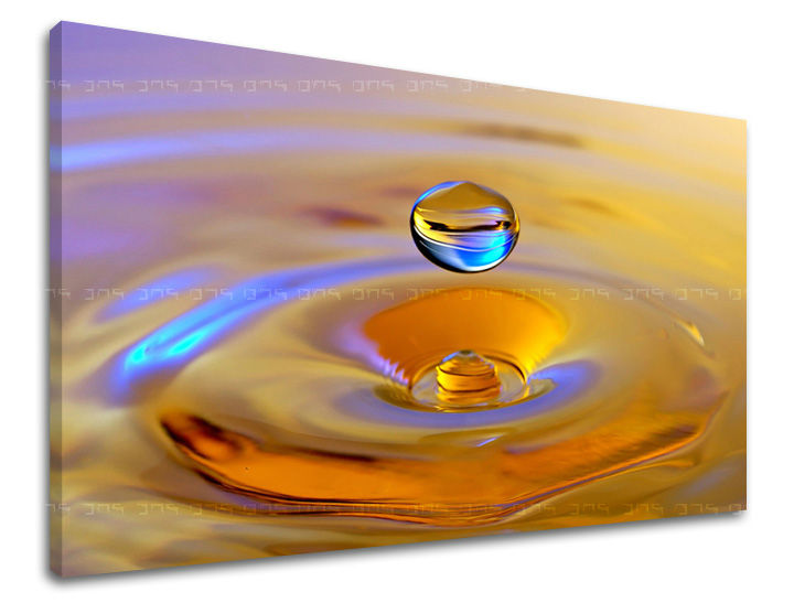 Τέχνη τοίχου FENG SHUI FS016E11