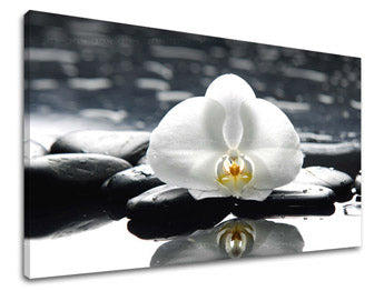 Τέχνη τοίχου FENG SHUI FS018E11