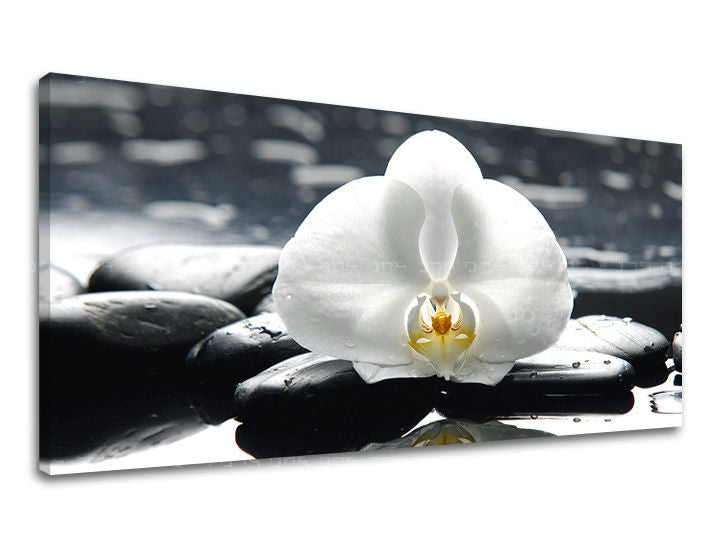 Τοιχογραφία PANORAMA FENG SHUI FS018E13