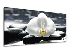 Τοιχογραφία PANORAMA FENG SHUI FS018E13