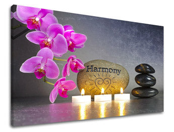 Τέχνη τοίχου FENG SHUI FS023E11