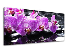 Τοιχογραφία PANORAMA FENG SHUI FS024E13