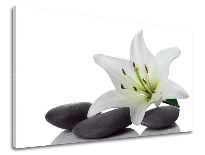 Τέχνη τοίχου FENG SHUI FS029E11