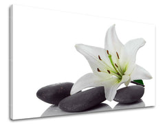 Τέχνη τοίχου FENG SHUI FS029E11