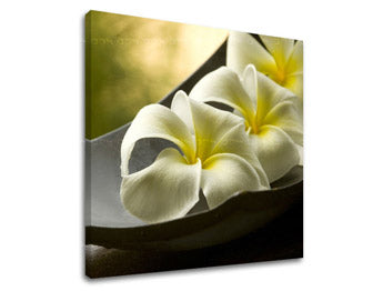 Τέχνη τοίχου FENG SHUI FS031E12