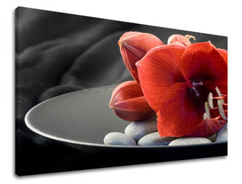 Τέχνη τοίχου FENG SHUI FS032E11